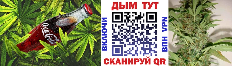 Canna-Cookies марихуана  Астрахань 