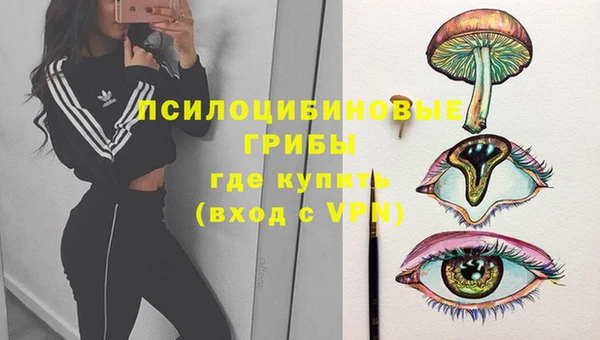 соль ск Алексеевка
