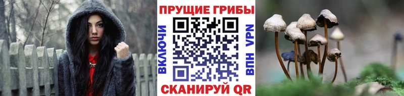 Псилоцибиновые грибы ЛСД  что такое наркотик  Астрахань 